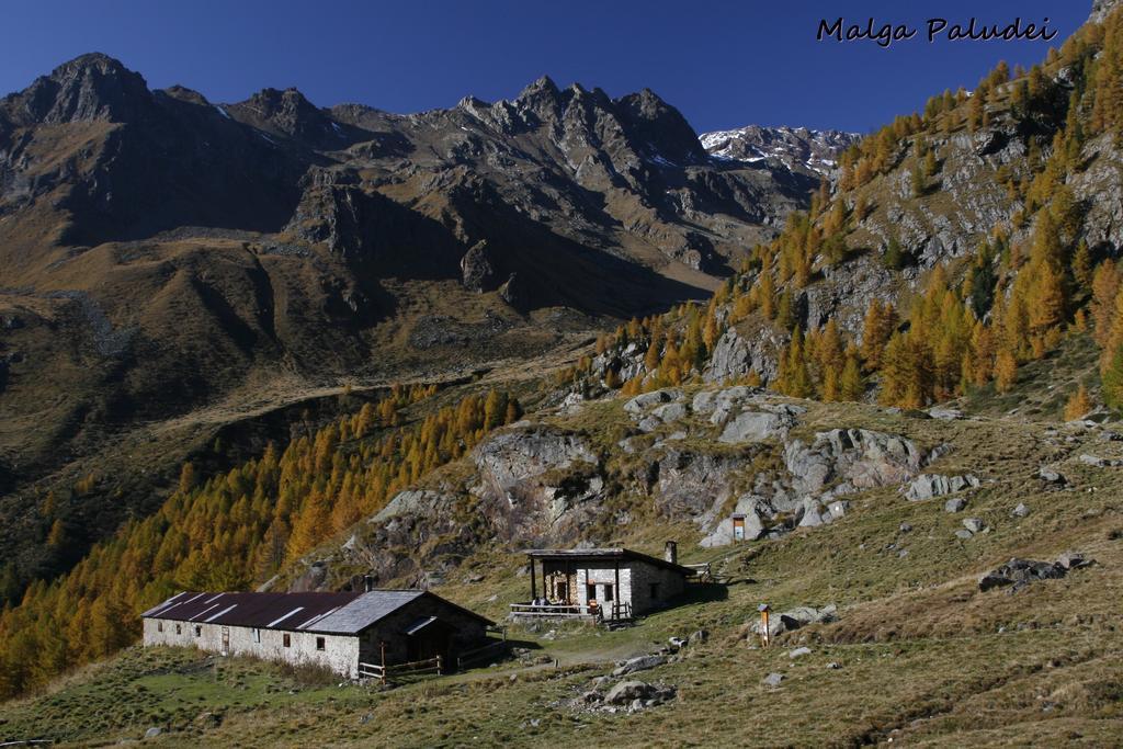Camping Val Di Sole Peio Exterior photo