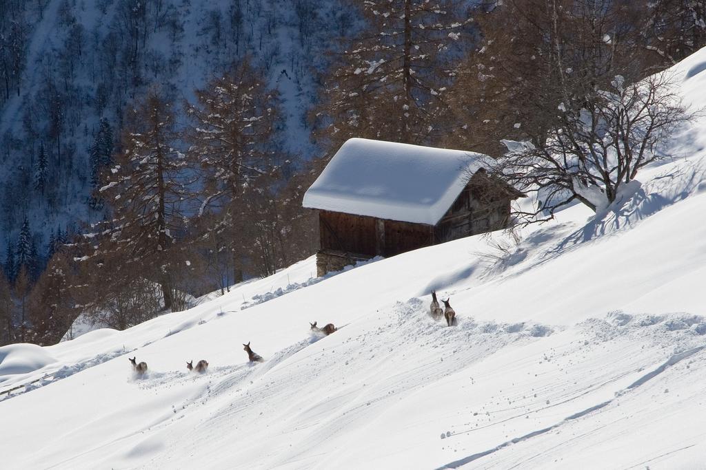 Camping Val Di Sole Peio Exterior photo